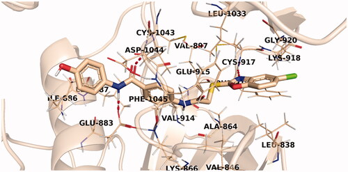 Figure 12. The predicted binding pattern of 14n with the active site of VEGFR-2.