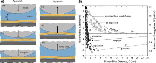 Figure 5. Schematic representation of the surfaces (A) and force-distance profiles (B) during interaction between the silica surface and the lipid bilayer on a mica support. The schematic representation (A) illustrates the distinct stages identified during the silica surface-membrane interaction: approach to membrane (a), initial repulsion (b), jump-in to adhesive contact (c), surface-membrane separation (d and e), jump-out with the two surfaces separating apart. The force-distance and adhesion energy profiles are shown on the right (B) for bilayers formed by Langmuir–Blodgett deposition (circles) and vesicle fusion (triangles). Reprinted with permission from Anderson et al. [89]. Copyright 2009 American Chemical Society.