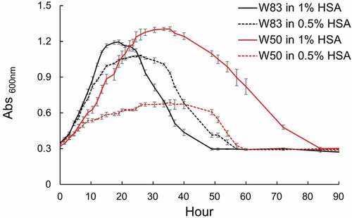 Figure 5. Analysis of the growth rate of W83 and W50 in the presence of different concentrations of HSA (1% and 0.5%). W83 shows higher rate of logarithmic growth in 1% HSAHK and reaches a higher turbidity than in 0.5% HSAHK. While W50 displays a much slower logarithmic growth compared to W83 in both concentrations of HSA and reaches a higher turbidity in 1% HSAHK. W83 grown in 0.5% HSAHK persists in stationary phase for a longer period of time when compared to growth in 1% HSAHK. It also shows a slower rate of lysis, indicating that logarithmic growth rate has negative correlation with the length of the stationary phase, and a positive correlation with the rate of cell lysis. Data are representative of three replications (n = 3). Error bars represent the standard deviation of biological replicates.
