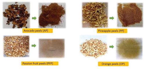 Figure 1. Appearance of Peel Powders