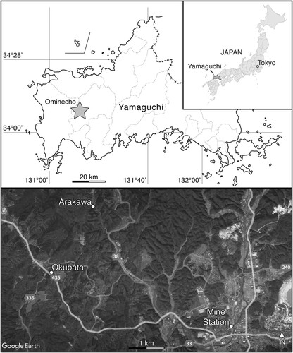 FIGURE 1. Geographic positions of Yamaguchi Prefecture and Ominecho within Japan and satellite image of Ominecho with relevant localities labeled.