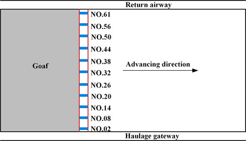 Figure 14. Measurement point layout in fully mechanized top-coal caving face.