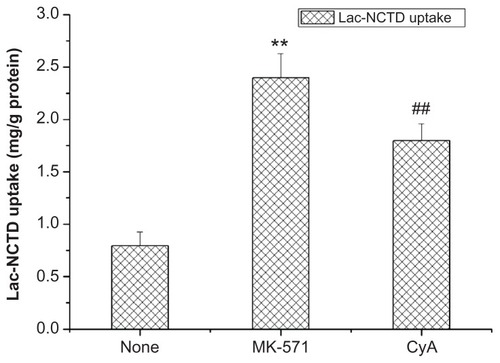 Figure 5 Effect of CyA and MK-571 on Caco-2 cells uptake.Notes: **P < 0.01 versus control group; ##P < 0.01 versus control group. Error bars represent standard error of the mean value for three determinations.Abbreviations: CyA, cyclosporine; MK-571, Sigma-MK-571 sodium salt hydrate; Caco-2, continuous line of heterogeneous human epithelial colorectal adenocarcinoma cells.