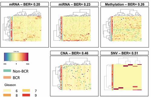 Figure 1. Results of sPLS-DA in individual omics datasets from TCGA PRAD. To identify immune-related features associated with BCR, prediction modeling was performed using sPLS-DA. Overall, 51 mRNA, 44, miRNA, 36 methylation loci, 32 CNA and 6 SNV were identified. The selected mRNA, miRNA and methylation loci predicted well BCR with BER of 0.20, 0.23 and 0.26, respectively. With BER of 0.46 and 0.51, the selected CNA and SNV, respectively, did not predict well BCR