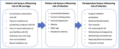 Figure 1 Stages affecting risk of surgical site infection with antibiotic-resistant bacteria.