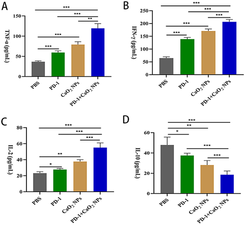 Figure 8 The systematic immune response induced by CaO2 NPs in combination with PD-1 inhibitors. (A–D) The levels of TNF-α, IFN-γ, IL-2, and IL-10 in serum in PBS-injected mice, PD-1 inhibitors-injected mice, CaO2 NPs-injected mice, and PD-1 inhibitors combined with CaO2 NPs-injected mice (n = 5). *p<0.05; **p<0.01; ***p<0.001.