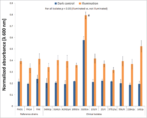 Figure 4. Proteolytic activity during BLT. The overall proteolytic activity of P. aeruginosa was determined by measuring the changes in milk turbidity during incubation with bacterial extracellular fractions (“dark control:” kept in the dark; “illumination:” BLT; fluence 50 J/cm2; 15.7 mW/cm2; λ 405 nm; duration of irradiation: 3184 sec). OD600 values were measured every 5 min during incubation (37°C and 200 rpm). The figure represents the time at which the dark control supernatants reached 80% of the maximum proteolytic activity. The values are the means of 3 separate experiments (the assay was performed for 3 independent experiments with one repetition per sample), and the bars represent the SE. The maximum value of absorbance was set as 1, and all other measurements were normalized as the ratio of 1. # indicates strains for which 80% proteolytic activity was not achieved.