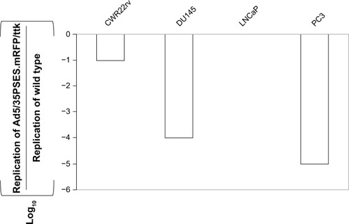 Figure 4 Replication of recombinant adenovirus in several human prostate cancer cell lines in vitro. Cells at a density of 1 × 106 were infected with 200 virus particles of wild-type or Ad5/35PSES.mRFP/ttk per cell. Viruses recovered from the cells and medium 5 days later were titered on confluent layers of 911E4 cells. The dilution factor causing the cytopathic effect was determined and the results were presented with standard deviation of independent experiments after normalization by that of wild type adenovirus. The results are normalized by wild-type adenovirus.