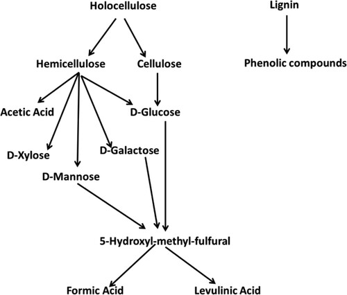 Figure 3. Degradation products and sub-products during hydrolysis of lignocellulosic biomass (Reproduced from reference (Citation15) with permission from Elsevier).