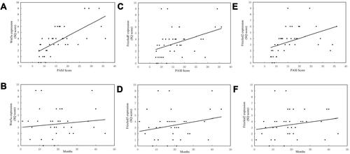 Figure 2 (A) The semi-quantitative score of Wnt5a in lesions was positively correlated with PASI score; (B) but not with duration of disease; (C) the semi-quantitative score of Frizzled5 was positively correlated with PASI score; (D) but not with duration of disease; (E) the semi-quantitative score of Frizzled2 was positively correlated with PASI score; (F) but not with duration of disease.