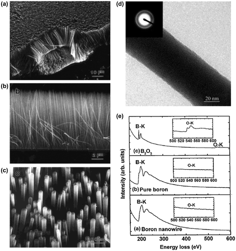 Figure 2. Amorphous boron nanowire arrays synthesized by the radio frequency magnetron sputtering method. (a) Low-magnification SEM image of the aligned boron nanowire arrays grown on Si substrates. (b) Cross-sectional SEM image. (c) High-magnification SEM image. Most of the boron nanowire tips have a platform-shaped morphology with a diameter of 60 ± 80 nm. (d) TEM image of a typical boron nanowire. Inset, SAED pattern taken from the nanowire showing some amorphous halo rings. (e) EELS spectra; a) boron nanowire; b) bulk, pure boron; c) bulk B2O3. The insets are magnified features of the O-K edges. Reproduced from Ref. [Citation100] by permission of John Wiley & Sons Ltd.