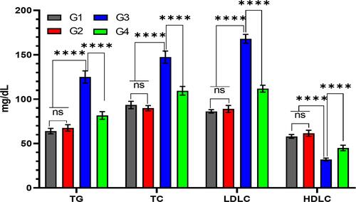 Figure 7 Quantitative analysis of garlic extract effects on trastuzumab-induced changes in the lipid profile serum levels. The levels of triglycerides (TG), total cholesterol (TC), low-density lipoprotein cholesterol (LDLC), and high-density lipoprotein cholesterol (HDLC) increase significantly in the serum of G3 compared to G1, G2, and G4. nsNo significance between G1 vs G2, ****Significance difference G1, G2 vs G3, and G3 vs G4 (p<0.001).