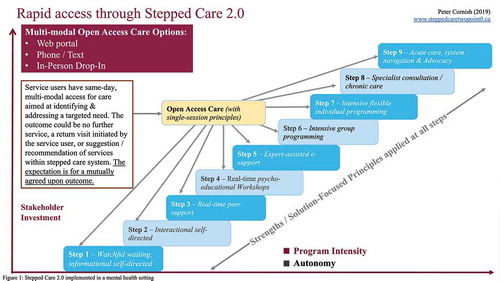 Figure 1. Stepped Care 2.0 implemented in a mental health setting