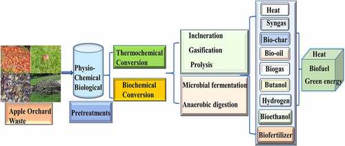 Figure 2. Resource recovery processes from apple orchard waste