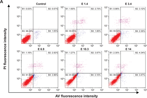 Figure S2 Effects of the blank emulsion particles on the apoptotic death of HT-29 cells.Notes: Cells were treated with various doses of emulsions (1.4 μL/mL, 3.4 μL/mL, 6.9 μL/mL, 10.3 μL/mL, and 14 μL/mL medium) without AN and LP for 24 hours. A dose of 1.4 μL of emulsion was the same volume as the nanoemulsion containing AN at 0.16 ppm and LP at 0.4 μM. (A) Representative quarterly plots of apoptotic and necrotic cell death and (B) quantitative analysis of early apoptotic (AV-positive/PI-negative) and (C) late apoptotic cells (AV-positive/PI-positive). Apoptotic death was measured by AV and PI staining following the flow cytometric analysis. Values are presented as the mean ± SD (3 -9 independent experiments). *P<0.05, the blank nanoemulsion group compared to the control group.Abbreviations: PI, propidium iodide; E, emulsion; C, control; AN, gold nanoparticles; LP, lycopene; AV, Annexin V; SD, standard deviation.