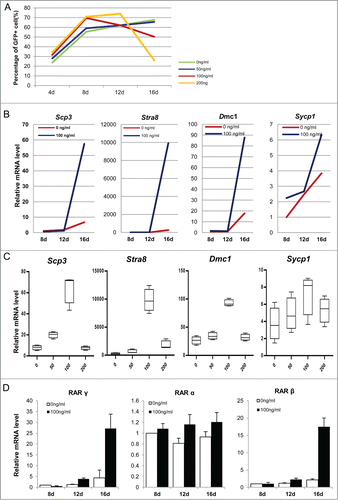 Figure 10. ActA promotes meiotic initiation of PGCLCs in vitro at a later induction stage. (A) Before 12 days culture, the PGCLCs percentage increased with increasing ActA dose, but from 12 to 16 days the percentage of PGCLCs was reduced in a dose dependent manner. (B) Q-PCR analysis of meiosis genes in PGCLCs cultured for 8 days, 12 days and 16 days. It shows that Scp3, Stra8, Dmc1 and Sycp1 increased from 12 days to 16 days with 100 ng/ml ActA present. (C) Q-PCR analysis of meiosis genes of PGCLCs cultured or 16 days with different ActA concentrations. Expression levels of these 4 genes increased from 0 ng/ml to 100 ng/ml but decreased with 200 ng/ml. So 100 ng/ml ActA has the most obvious effects on meiosis gene expression and meiotic entry. (D) Q-PCR analysis of RA receptors. RAR α, and RAR γ were determined and elevated markedly at 16 days with 100 ng/ml ActA, and RAR β was up-regulated to a different extent at 8 days, 12 days and 16 days with 100 ng/ml ActA. Data of day 8 with 0 ng/ml ActA was normalized as 1, n = 3. * P < 0.05.