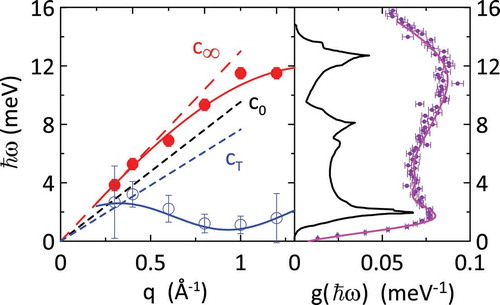 Figure 10. Dispersion relations of mode ”1” (red dots) and mode ”2” (blu circles) obtained by the two-interacting modes model applied to the unique set of neutron and x-ray data measured in liquid Hg. The full lines through the data are guide-to-the-eye. The ordinary sound velocity c0 and the velocities associated to the longitudinal and the transverse modes are also shown by dashed lines. The right side of the figure shows the experimental density of states g(ℏω) of liquid mercury (dots) resulting from the incoherent neutron-scattering experiment. The purple continuous line through the dots is a guide-to-the-eye, while the black curve is the density of states obtained from the measurement of phonon dispersion relations in rhombohedral D 3d5  201Hg crystal [Citation168]. Note the same energy axes for the two figures and the striking correspondence between the modes energy and the peaks in the density of states