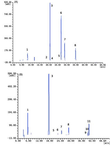 Figure 2. HPLC of GTE (A) and BTE (B). Detection was performed at 278 nm. Peaks identification: 1: gallic acid (GA); 2: epigallocatechin (EGC); 3: caffeine; 4: catechin (C); 5: epicatechin (EC); 6: epigallocatechin gallate (EGCG); 7: gallocatechin gallate (GCG); 8: epicatechin gallate (ECG); 9: theaflavin (TF); 10: theaflavin-3-gallate (TF-3-G); 11: theaflavin-3′-gallate (TF-3′-G).