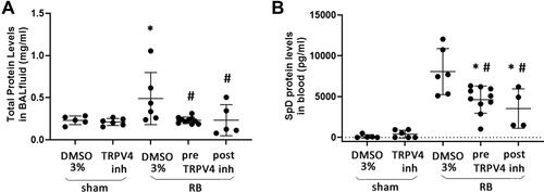 Figure 5 Total protein level in BAL fluid and Surfactant protein D (SpD) plasma levels following resistive breathing and the effect of TRPV4 inhibition. (A) 24hrs of RB increased total protein levels in BAL fluid (an indirect marker of increased lung permeability), an effect that was blocked following both prophylactic and therapeutic TRPV4 inhibition. (B) TRPV4 inhibition partially prevented the increase of SpD plasma levels. Data presented as mean ± stdev, n = 4-10 per group, *p < 0.05 to sham + 3% DMSO, #p < 0.05 to RB+ 3% DMSO.