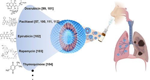Figure 3 LC treatment via nasal inhalation of anticancer drug-loaded liposome.