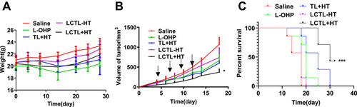 Figure 10 The evaluation of anti-tumor effect on 4T1-bearing mice. (A) The weight changes of mice after the administration with physical saline, free L-OHP, TL+HT, LCTL with HT and LCTL without HT (n=7). (B) Tumor growth of mice bearing 4T1 tumor, which were intravenously administrated with physical saline, free L-OHP, TL+HT, LCTL with HT and LCTL without HT (n=7). (C) The survival curves after administration with physical saline, free L-OHP, TL+HT, LCTL with HT and LCTL without HT. Each symbol represents the mean of 7 animals and the bars correspond to the standard deviation. The local tumors of mice were heated at 42°C for 30 min each time for +HT groups. *p < 0.05, ***p < 0.001. Results are expressed as the mean±SD from five independent experiments.