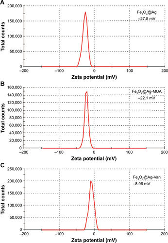 Figure S3 Zeta potentials of (A) Fe3O4@Ag, (B) Fe3O4@Ag-MUA, and (C) Fe3O4@Ag-Van in aqueous solution.Abbreviations: MUA, 11-mercaptoundecanoic acid; Van, vancomycin.