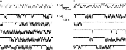 Figure 1.  Single-channel behavior of ClC-0. (a) Top trace: the two pores in ClC-0 are gated independently by the ‘fast gate’. The dashed line corresponds to zero current, and channel openings are downward deflections. Bottom five traces: Fifty seconds of continuous recording, shown on a compressed time scale. The long silent periods correspond to closures of the ‘common gate’. Recordings were at −70 mV; symmetric solutions contained 110 mM NMDG-Cl, pH 7.5 (J. Lisal and M. Maduke, unpublished). (b) Conditions similar to (a) except the extracellular pH has been raised to 8.5. The decrease in proton concentration causes an increased probability of common-gate closure. At this voltage (−70 mV), there is no significant effect of the extracellular pH change on the fast gate.