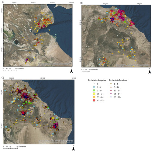 Figure 4. Locations (3-hourly), and the number of revisits to the most frequently visited locations (circles) and dump sites (squares) by (A) the Horn of Africa vulture EV1; (B) Oman vulture EV2; and (C) Oman vulture EV3. See Table 1 for detailed information on the individual vultures and Table 3 for detailed information on residence times to the most visited dump sites.