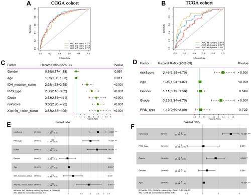 Figure 5 Prognostic value of FRGs signature in LGG. (A) Time-dependent ROC analysis of FRGs signature in the CGGA cohort; (B) Time-dependent ROC analysis of FRGs signature in the TCGA cohort; (C) Univariate Cox analysis showed that risk Score was correlated with OS in the CGGA cohort; (D) Univariate Cox analysis showed that risk Score was correlated with OS in the TCGA cohort; (E) Multivariate Cox analysis showed that risk score was correlated with OS in the CGGA cohort; (F) Multivariate Cox analysis showed that risk score was correlated with OS in the TCGA cohort. The CGGA cohort was used as training set, and the TCGA cohort was used as verification set. *P<0.05; **P<0.01; ***P<0.001. P <0.05 was considered statistically significant.