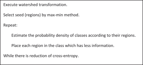 Figure 1. Algorithm 1: segmentation based on cross-entropy minimization by the SCEMA.