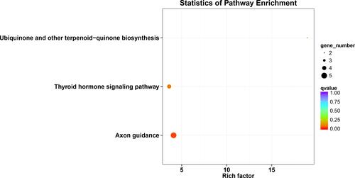 Figure 8 KEGG analysis of OVOLs co-expression genes predicted by DAVID.