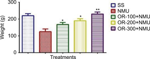 Figure 1 Body weights of rats of experimental groups at the end of the study. Values are expressed as mean ± standard deviation (n=16). Analysis of variance (P=0.024). *Tukey test (P<0.05) versus NMU group. **Tukey test (P<0.01) versus NMU group.