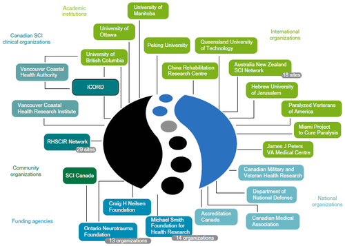 Figure 3 Network of individuals, organizations, and networks at the Rick Hansen Institute.