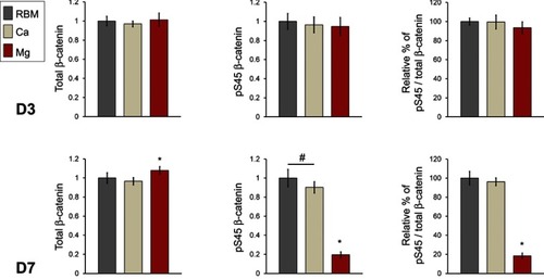 Figure 11 ELISA results for the detection of the protein expression levels of total cellular β-catenin, phosphorylated β-catenin (pS45), and the relative percentage of phosphorylated β-catenin (pS45) in the total cellular β-catenin (expressed as a percentage of the unmodified RBM surface) in the cell lysate of MSCs adhering to the investigated samples at 3 and 7 days of culture. The values are the mean ± SD of three independent experiments. *P<0.05 compared with the other surface; #P<0.05 between the two surfaces.