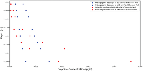 Figure 6. Profiles of concentration and depths hydrogen sulfide at hypothetical natural hydrothermal and anthropogenic discharge.