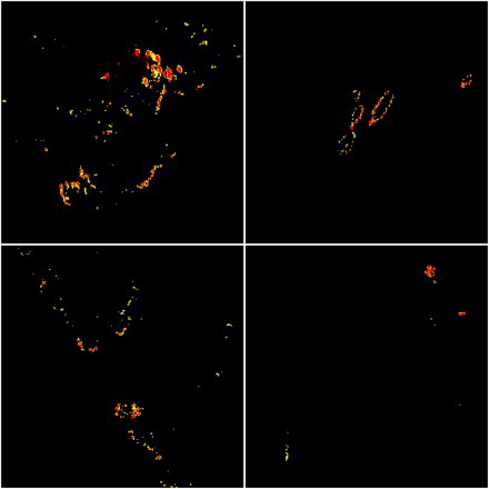 Figure 4. GOLI active fire detection results for the subsets illustrated in Figure 1. Unambiguous active fire detections are shown in red and potential active fire detections in yellow. Figures appear in color in the online version.