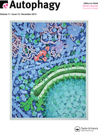 Cover image for Autophagy, Volume 11, Issue 12, 2015