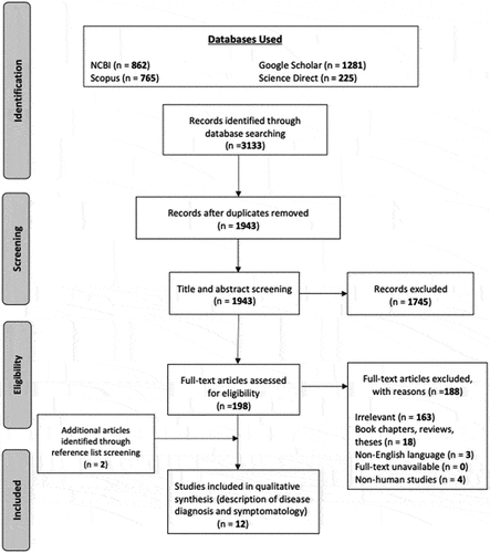 Figure 2. PRISMA flow diagram.