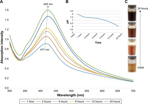 Figure 1 (A) UV–Vis spectra of colloidal AgNPs indicating increase in the peak intensity with time, along with a redshift. (B) pH value of the mixture gradually decreased during the reaction time. (C) Color change of the mixture from light yellow to dark brown during the reaction, which indicates synthesis of silver nanoparticles.Abbreviations: AgNPs, silver nanoparticles; UV-Vis, ultraviolet-visible.