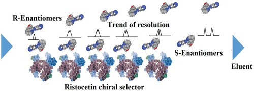 Figure 4. chiral recognition mechanism on ristocetin CSP.