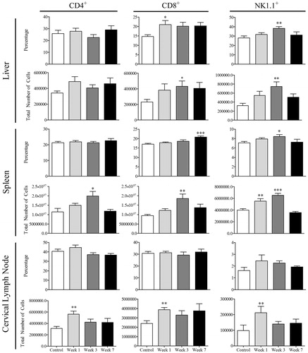 Figure 6. Lymphocyte phenotyping for CD4, CD8, and NK1.1. Control mice (n = 8) or mice treated with AQ for 1, 3, or 7 weeks (n = 8). Values shown are mean ± SE. Analyzed for statistical significance versus control by Mann-Whitney U-test; p values < 0.05 were considered significant (*p < 0.05; **p < 0.01; ***p < 0.001).