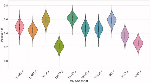 Figure 3. Pearson’s R obtained from docking the validation set on every refined MD snapshot. The white dot represents the median value, and the black line height represents the distance between the lower quartile (Q1) to the upper quartile (Q3), which is called the interquartile range (IQR). Violin plots show the probability density of the data at different values as a kernel density estimation.