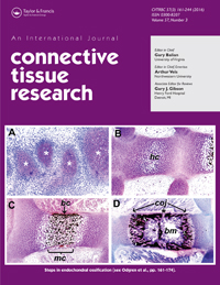 Cover image for Connective Tissue Research, Volume 57, Issue 3, 2016