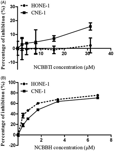 Figure 5. Proliferation inhibitory effect of (A) NCBBTI and (B) NCBBH on HONE-1 cells and CNE-1 cells. Cells were cultured with the medium containing different concentrations of NCBBTI and NCBBH for 48 h before the cell viability was measured. Results are represented as mean ± SD (n = 3).