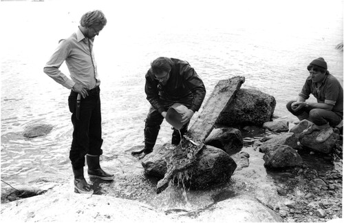 Figure 8. The Esselholm beakhead structure lifted for documentation in 1978. Photo: F. Ohert, SMM92026:31, courtesy of the Finnish Heritage Agency.