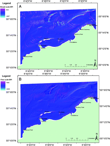Figure 5. Parameters derived from the bathymetry using ArcGIS Benthic Terrain Modeler: (A) broad-scale BPI and (B) fine-scale BPI.