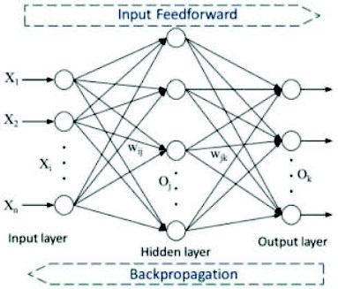 Figure 4. The typical structure of BPNN including the three basic layers (input, hidden, and output layers) and the two main steps (input feed-forward network and back propagation) adapted from Lee and Hsiung Citation(2009) and Han and Kamber Citation(2006).