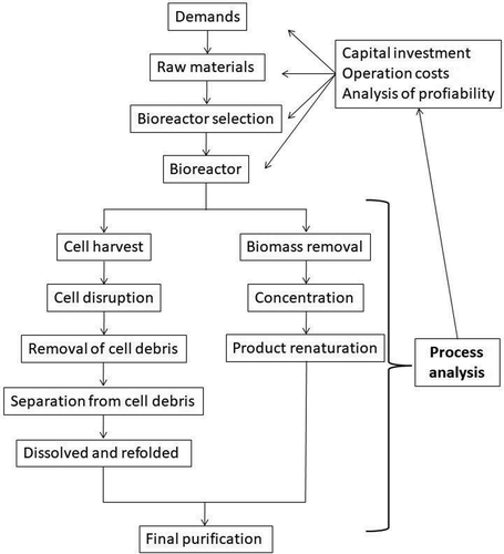 Figure 1. Flow sheet for bioprocess design.