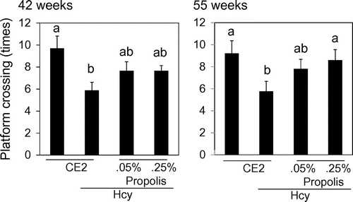 Fig. 3. Effects of propolis on cognitive function.Notes: Mice were fed a control diet, Hcy, Hcy and 0.05% propolis (Hcy-0.05P), or Hcy and 0.25% propolis (Hcy-0.25P). Cognition was evaluated using the Morris water maze test (probe trial test) at 42 and 55 weeks. Results are expressed as mean ± SE (n = 9–10). Different characters indicate statistical significant differences (p < 0.05).