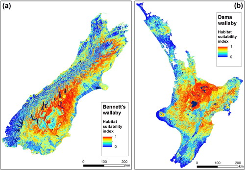 Figure 4. Predicted habitat suitability derived using Maxent, estimated using incidental observations of wallabies (i.e. presence-only data). A, Bennett's wallaby in South Island; B, dama wallaby in North Island. Bright red and orange colours indicate areas predicted to be excellent to good wallaby habitat (HSI = 1), pale blue indicates moderately suitable habitat and dark blue represents poor habitat (HSI = 0).